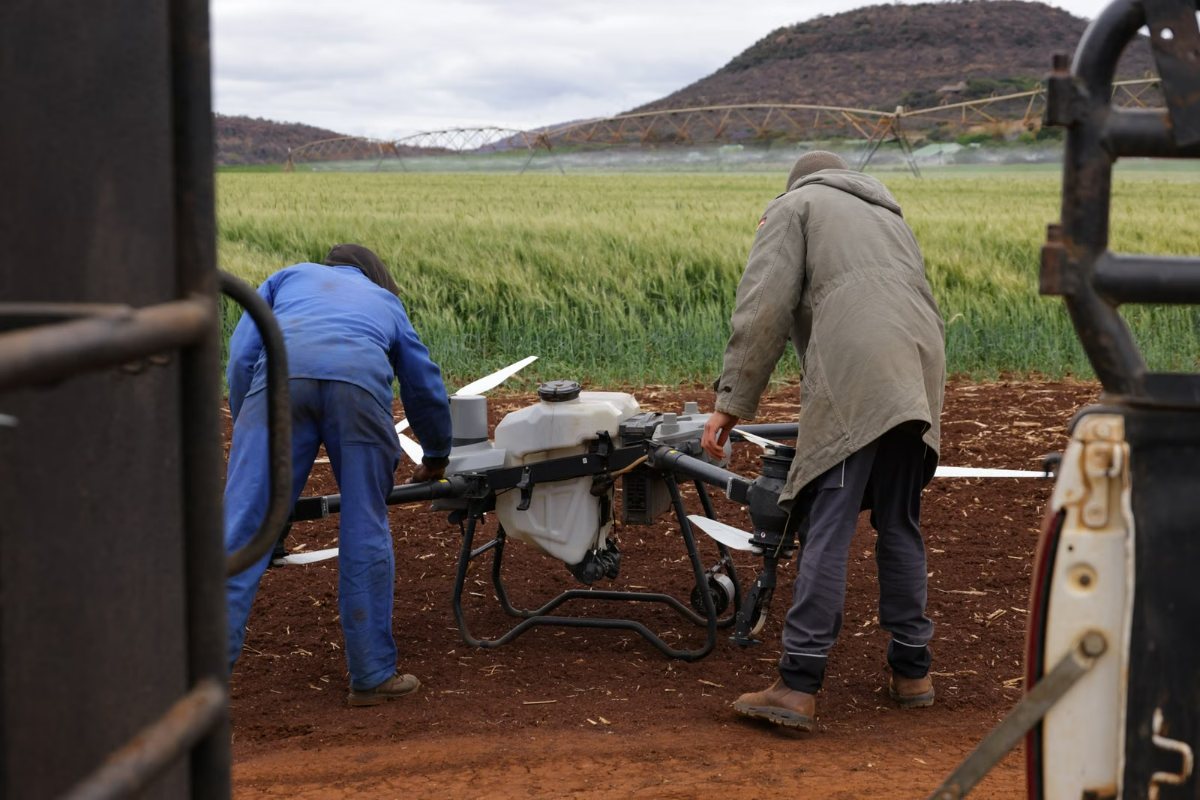 Farmers preparing an agricultural drone in a field